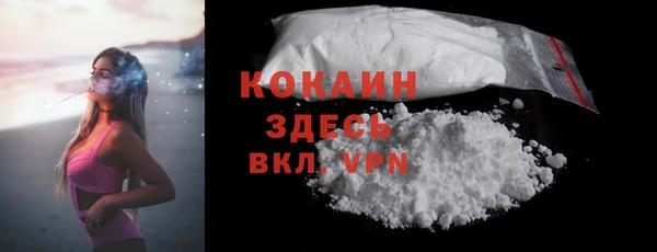 хмурый Алексин