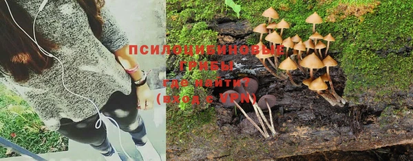 кокс Алексеевка