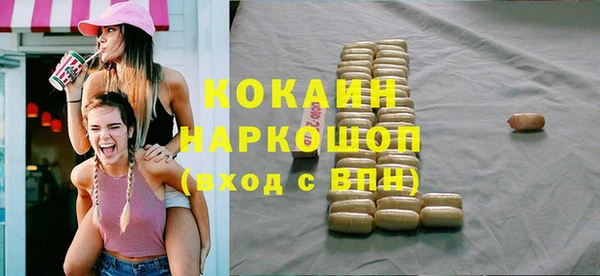 хмурый Алексин