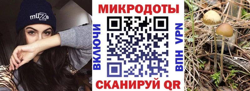 OMG   Заозёрный  Галлюциногенные грибы Psilocybine cubensis  купить закладку 